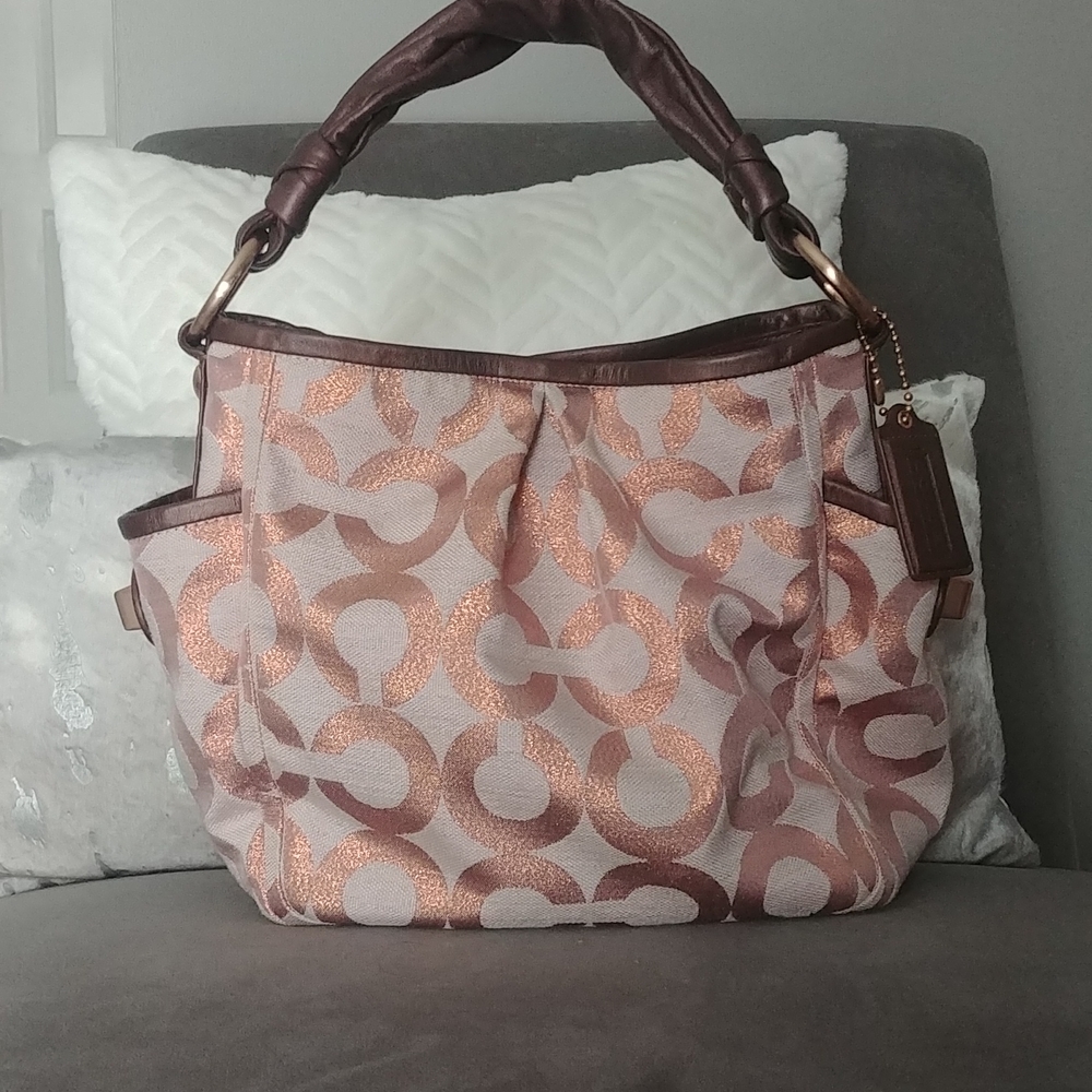 Coach Sparkly Bag